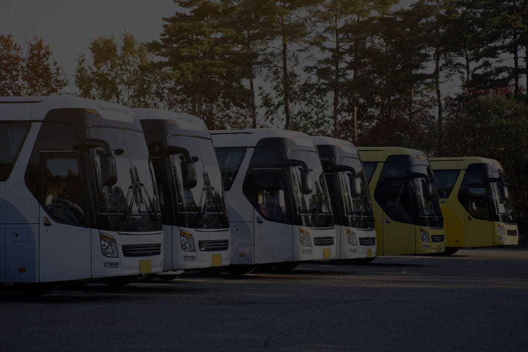 bellevue Charter Bus Fleet